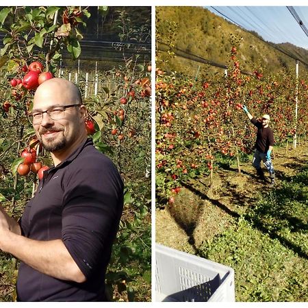Agriturismo Pian Dei Tass Barcis Εξωτερικό φωτογραφία